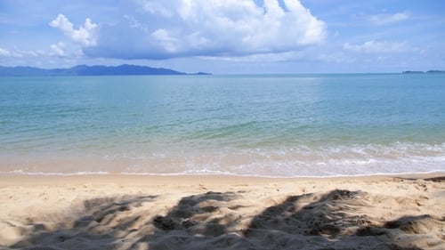Sunny Tranquil Sea Beach With Palm Trees