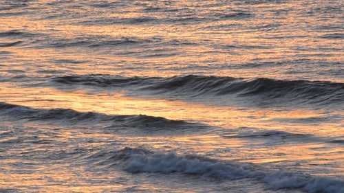 Meer & Welle