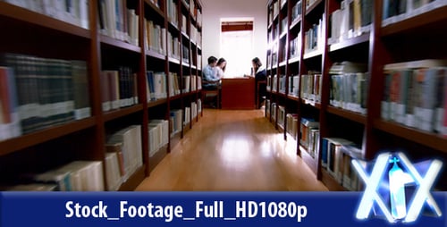 Students Studying Together in Quiet Library