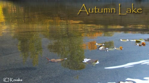 River And Autumn Forest