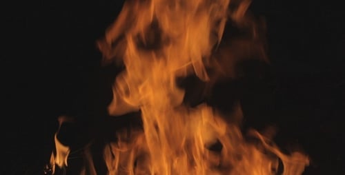 Fire In Forest - 6