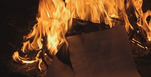 Fire In Forest - 7