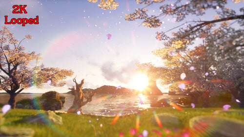 Paradise