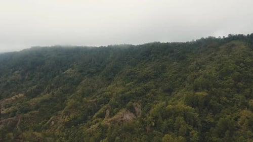 Rainforest in the Fog and Clouds. Bali, Indonesia.