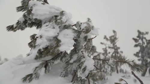 Starker Schneefall nach Schneesturm