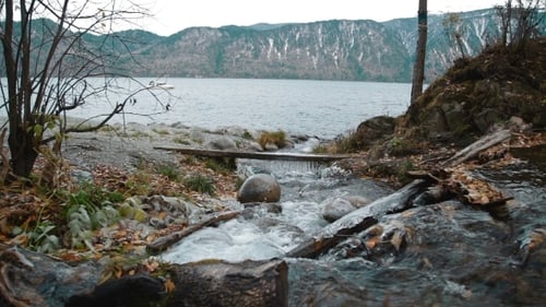 Eiszapfen im Stream