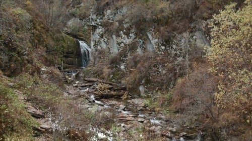 Waterfall In Mountains Of Altay Republic