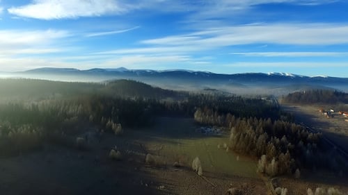 Luftbild über dem Wald