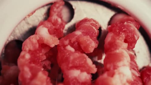 Making Raw Mincemeat with a Meat Mincer Macro Shot