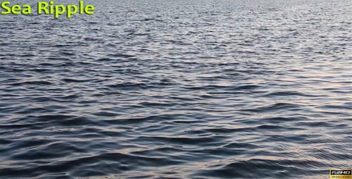 Sea Ripple