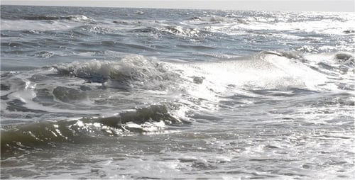Sea