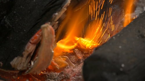 Fire