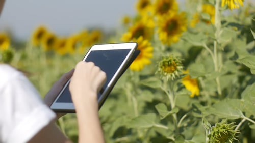 Verwenden des Touchscreens auf dem Tablet