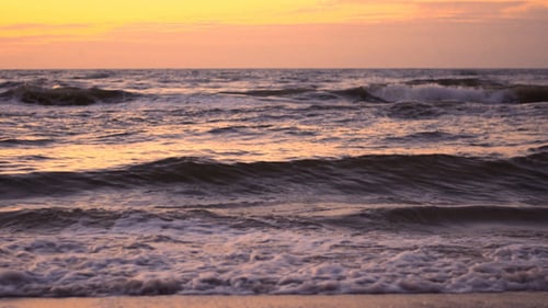 Sea