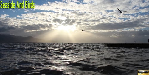 Seaside And Birds