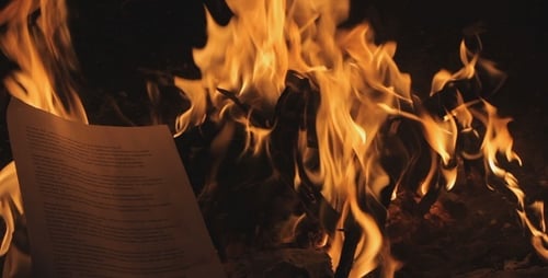 Fire In Forest - 8