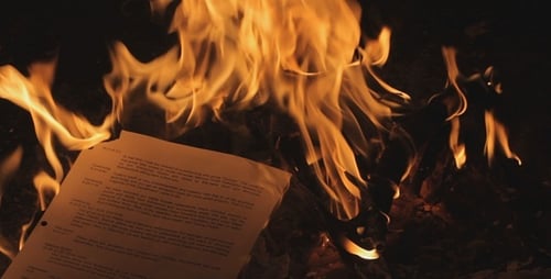 Fire In Forest - 9