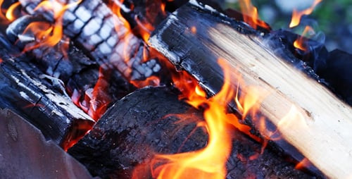 Burning Bright Flames of Firewood 3