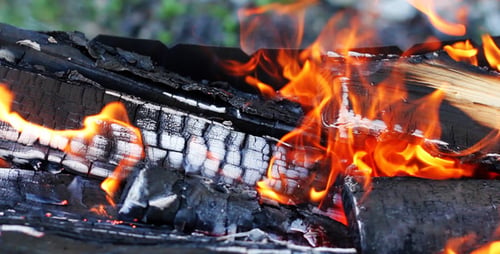 Burning Bright Flames of Firewood 4