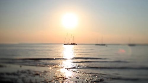 Sunrise at Sea with Sailboats