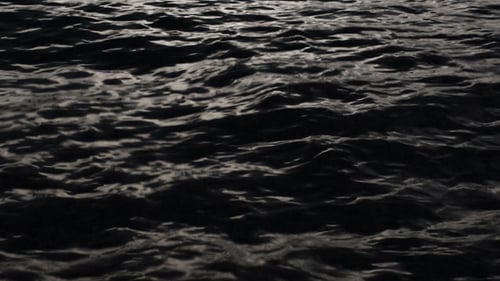 Night Sea & Wave