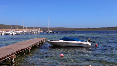 Picturesque Harbor Scene with Docked Boats