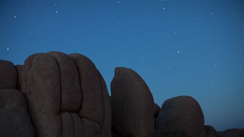 Joshua Tree 4