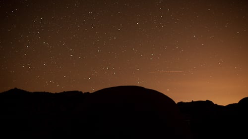 Joshua Tree Stars 6