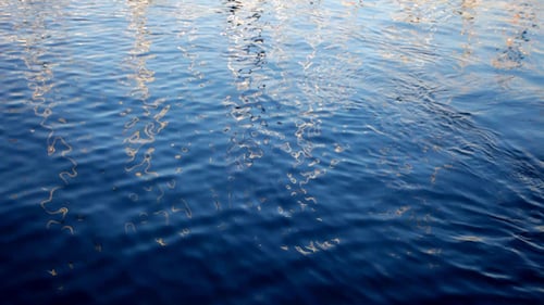 Gentle Ripples on the Surface of the Blue Sea