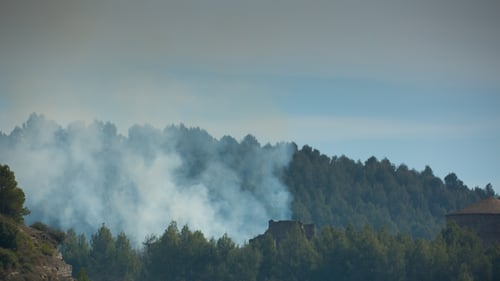 Fire Forest 2