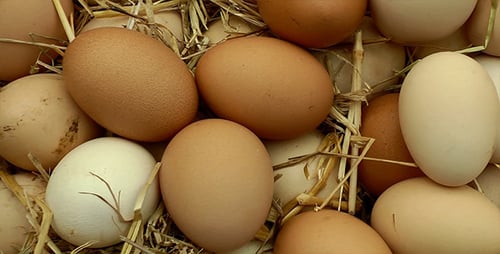 Fresh Chicken Eggs Nestled in Farm Straw