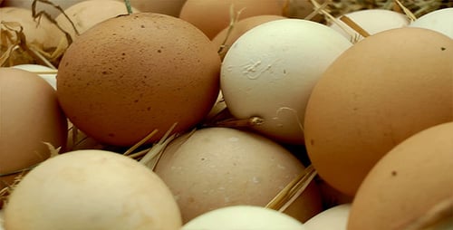 Fresh Chicken Eggs in a Rural Basket