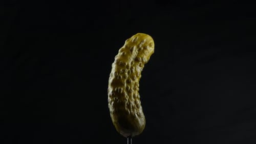 Close Up of a Whole Pickle