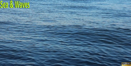 Sea & Waves