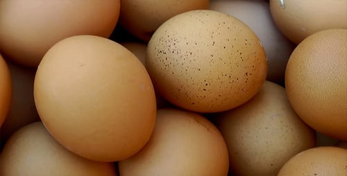 Close Up of Farm Fresh Brown Eggs
