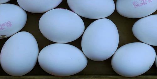Fresh White Eggs in a Close-Up Dolly Shot