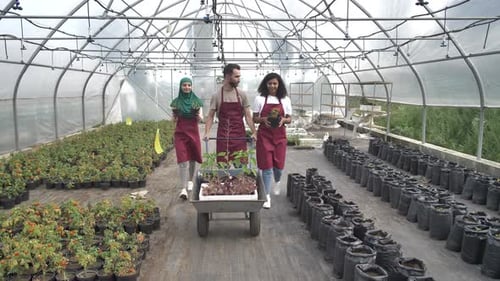 Smiling Gardeners Pull Cart of Plants in Greenhouse