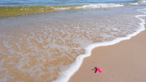Waves Gently Washing onto Sandy Beach with Starfish