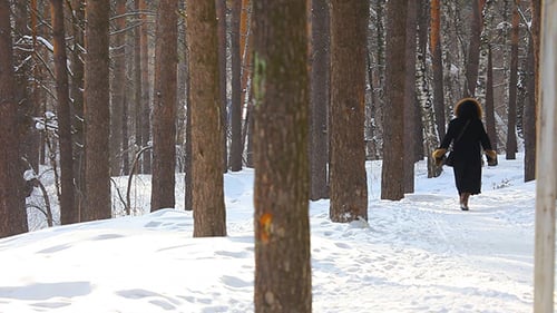 Woman Walks Through Snowy Forest in Winter