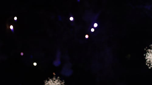 Vibrant Fireworks Exploding in the Night Sky
