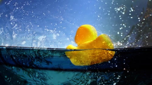 Plastik Duckie 03