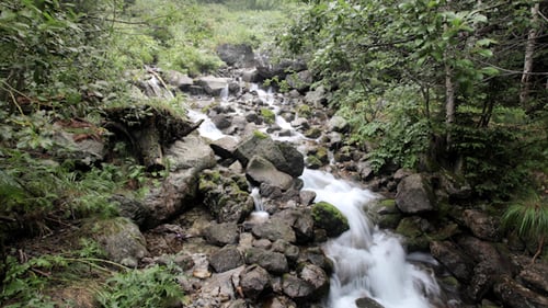 Cascada 02