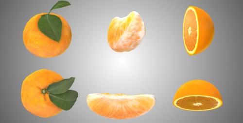 3D Animated Rotating Oranges, Segments, and Slices with Alpha Channel