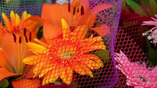 Colorful Bouquet of Lilies and Gerberas Close Up