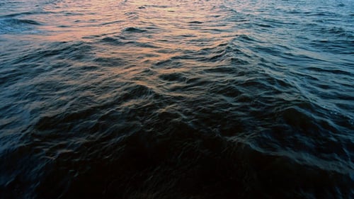 Meer