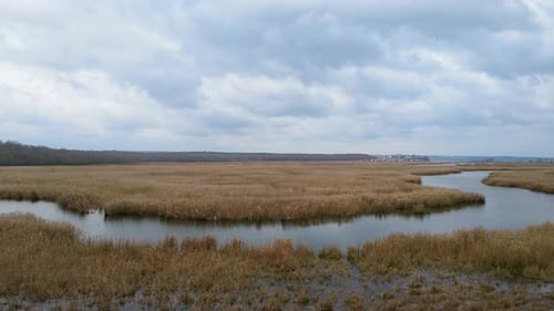 lake and reeds in autumn, Igneada, Turkey