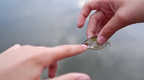 Delicate Hands Holding a Tiny Fish Near Water