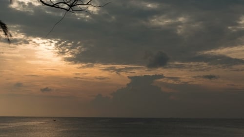 Calm Ocean Sunset with Clouds and Tree Branches