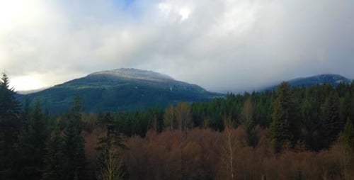 Mountain Landscape with Clouds and Forest