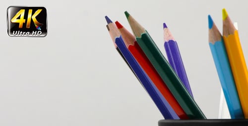 Colorful Pencils in a Black Container Close Up